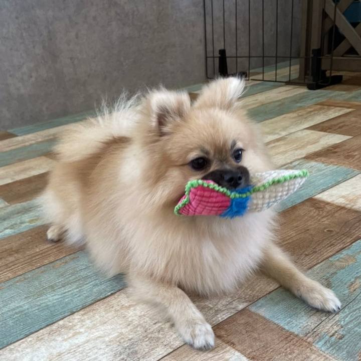 50e12274 69d5 447b 9209 f0ba954dc577 1625294216484