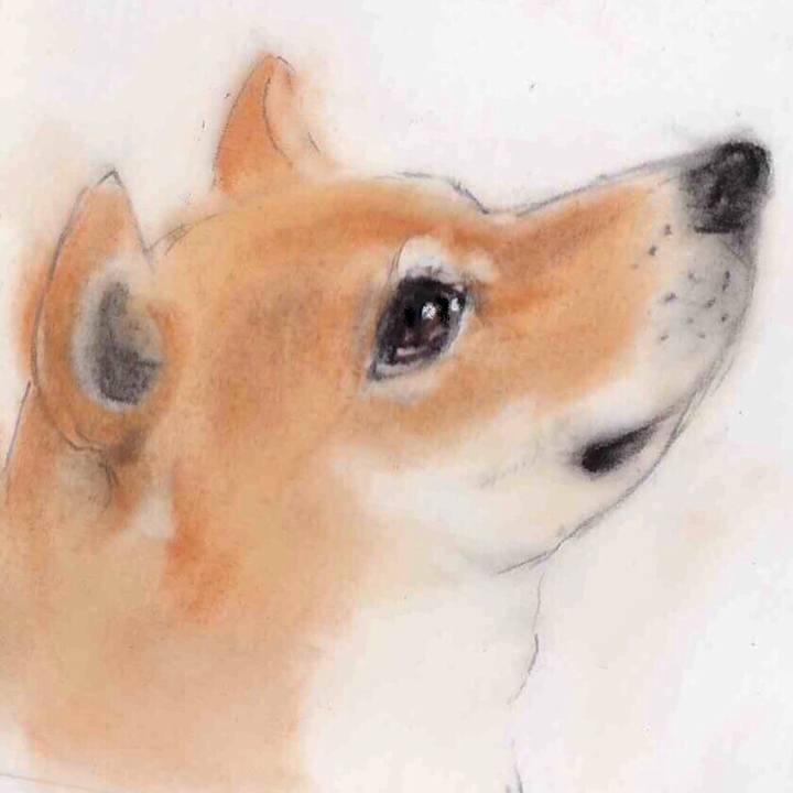 50e13d45 c225 46f3 aea1 35fe631f82de 1644037871215