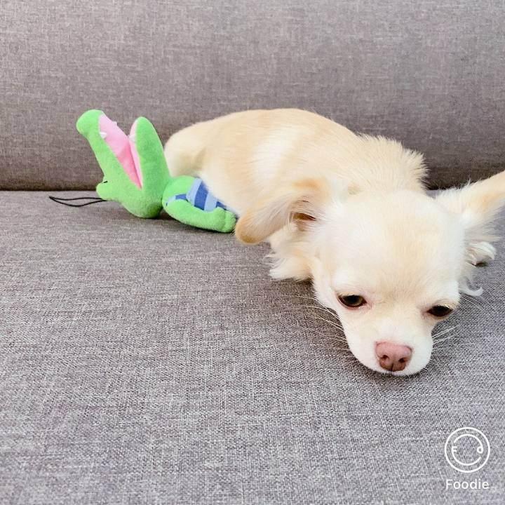 50e15ca2 65ed 4121 ad53 453f34875964 1603787210246