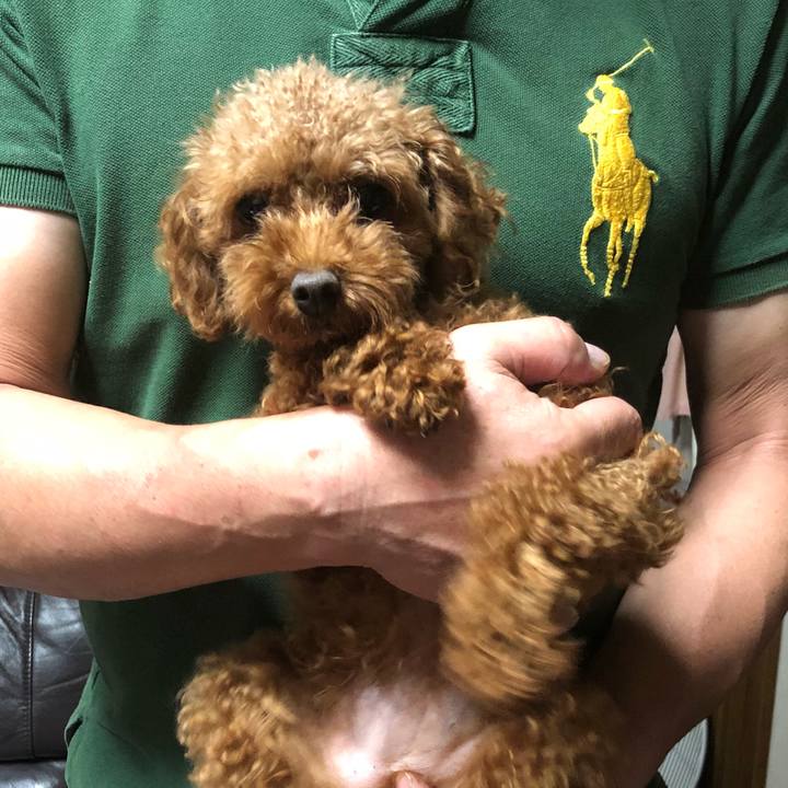 50e1e882 d158 4082 a295 328cfb02b7df 1532863296678