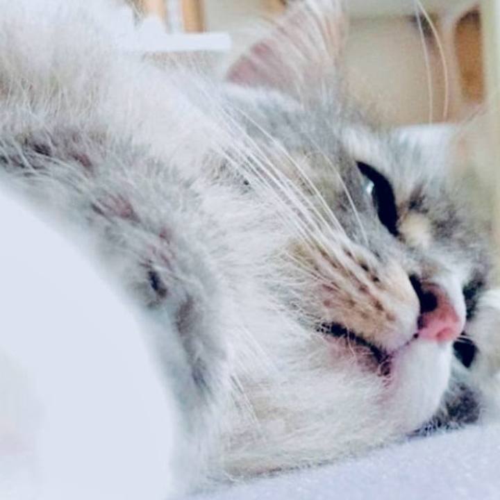 50e2039d 3b97 48f3 b569 7316925ae460 1736957481595