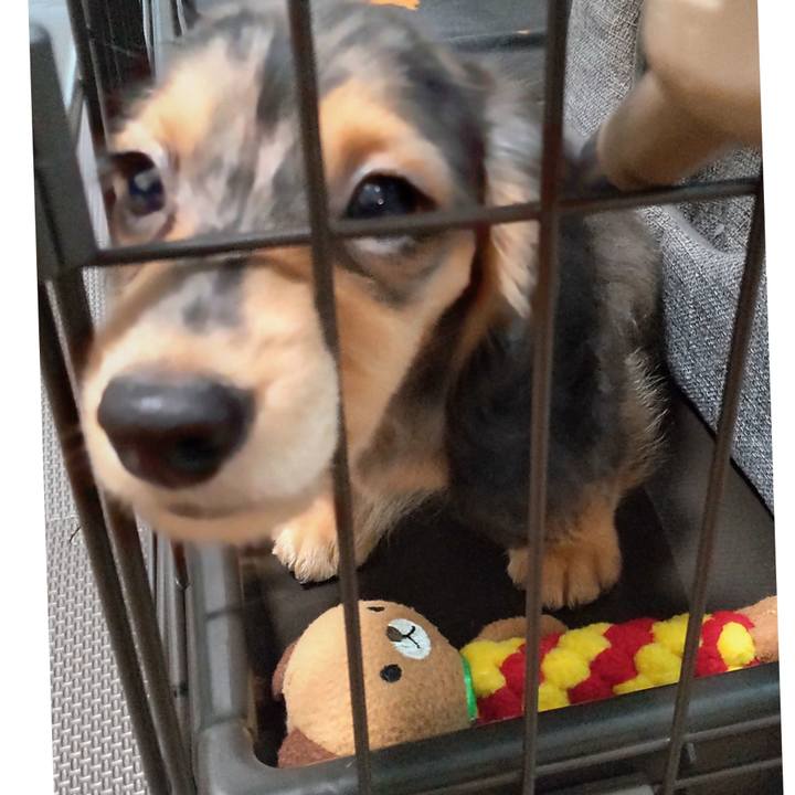 50e21269 a354 4a19 9f9d 685bba791ded 1734611001967