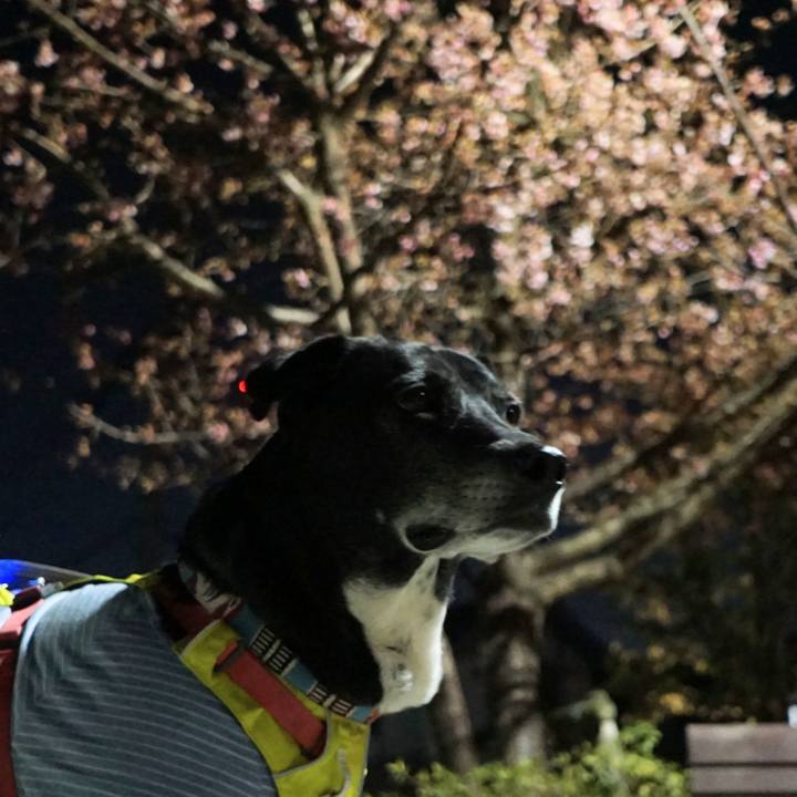 50e2279c d9b4 4acf 989c b14367d1f689 1771758530125