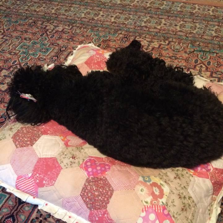 50e25b39 6c5c 46f9 a5ad 3494e18bfb86 1557213835649