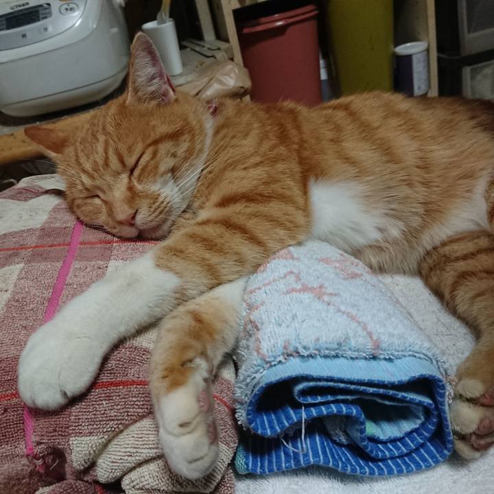 50e2763e 6475 4370 b0c9 962a7e00236b 1604362343514