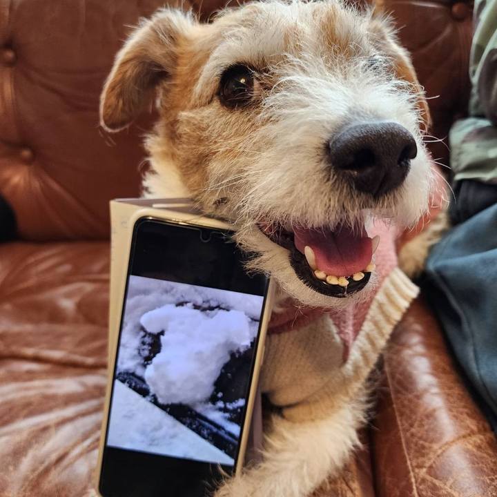 50e28f93 f53a 402d 872f 2add3e8b82e4 1770522478895