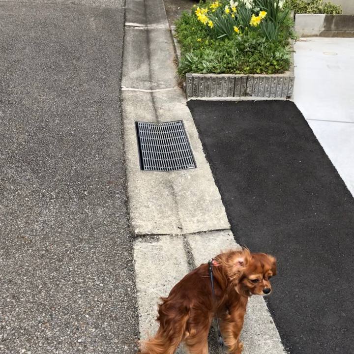 50e2920f 1379 496a bade ec382bdfe007 1584570656720