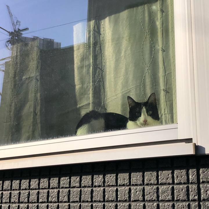 50e2a333 1250 4fec a1c5 5abc5f2f50fd 1647722097983