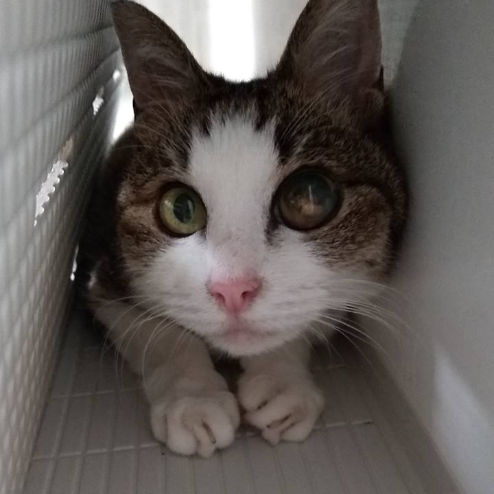 50e2ab2f aa4d 4af1 97f0 d0f0aeeb4d47 1564876986202