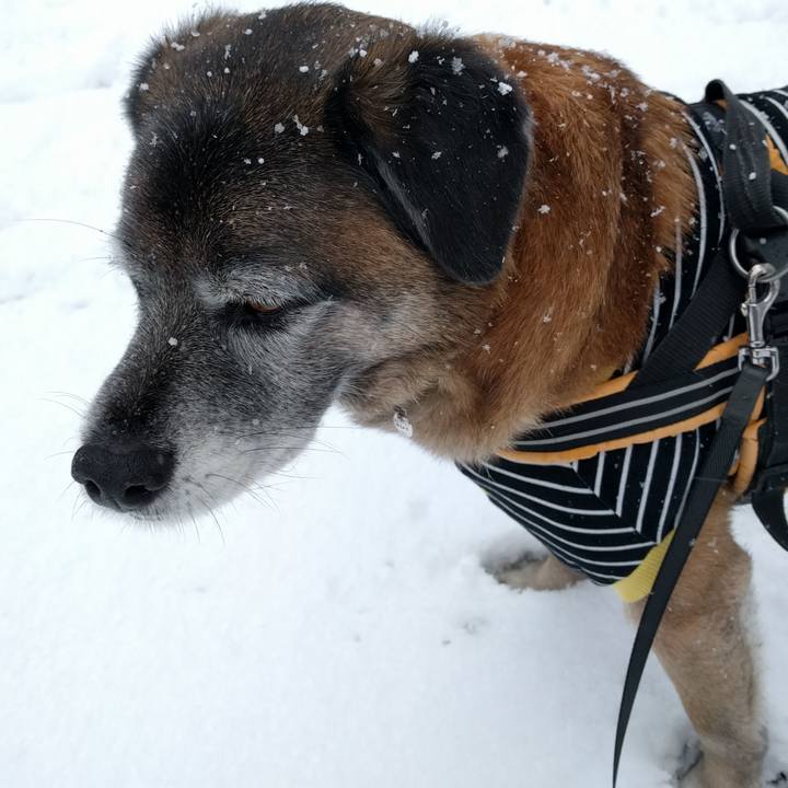 50e2ca42 1974 4c4f 8d41 468535199144 1517530454546