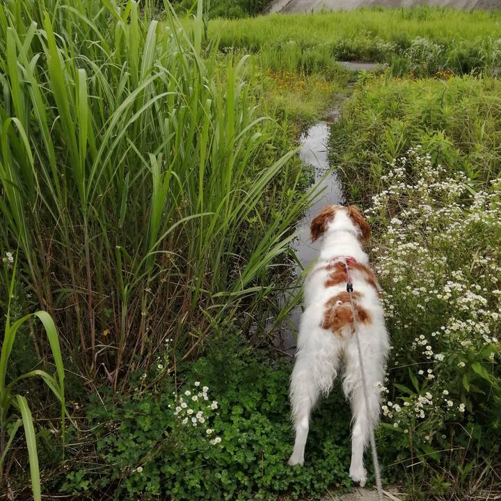 50e2d826 6bbf 473e 9512 593349760fa9 1594283506194