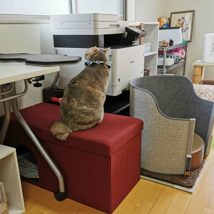 50e2e33c 26d1 4738 8089 9be4f231340c 1675398071801