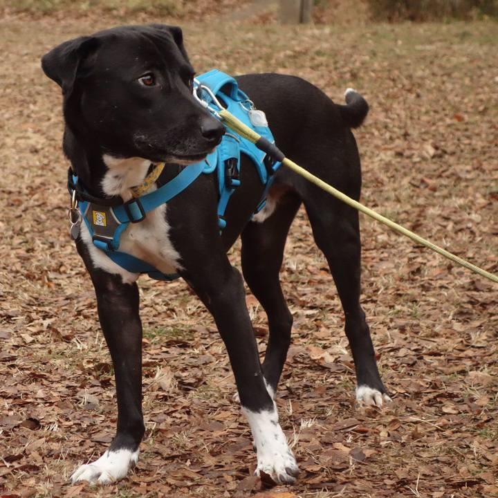 50e2f4b7 987b 46d4 85e1 0aee92de2b16 1610937299968