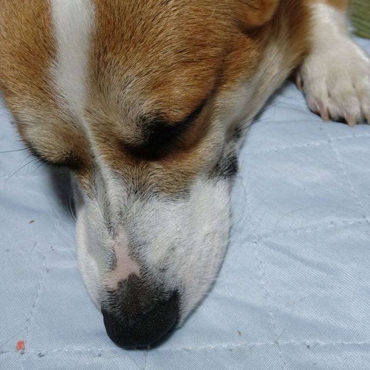 50e2f4bf 83c6 4868 ad51 934076e449d7 1604156099032