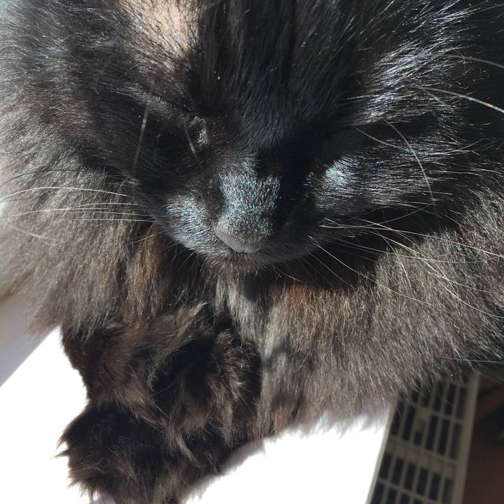 50e36a56 ba92 4771 afcd 09c8fc18cc7a 1551931706930