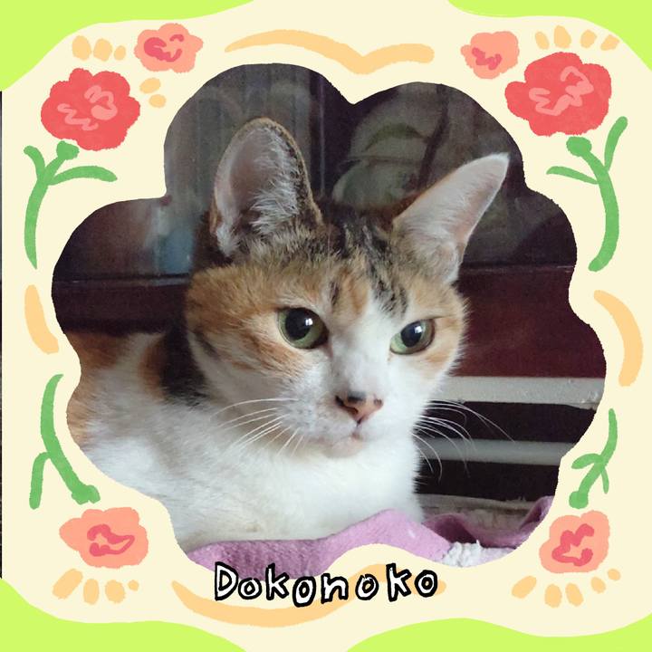 50e37c92 0038 42f8 8354 e36c8a9b9e90 1714883911145