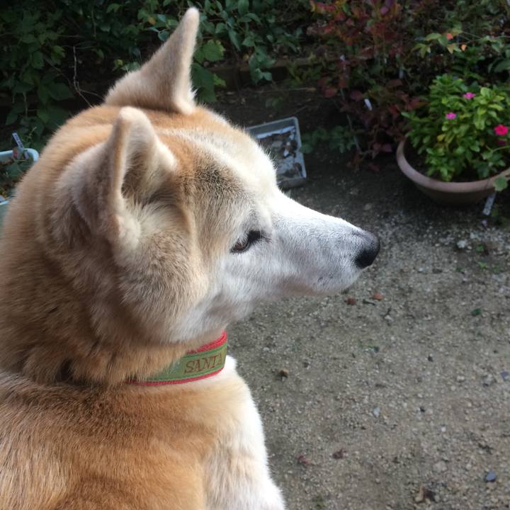 50e38dfb 2938 46dd bbfc 993ea765829a 1572853683336