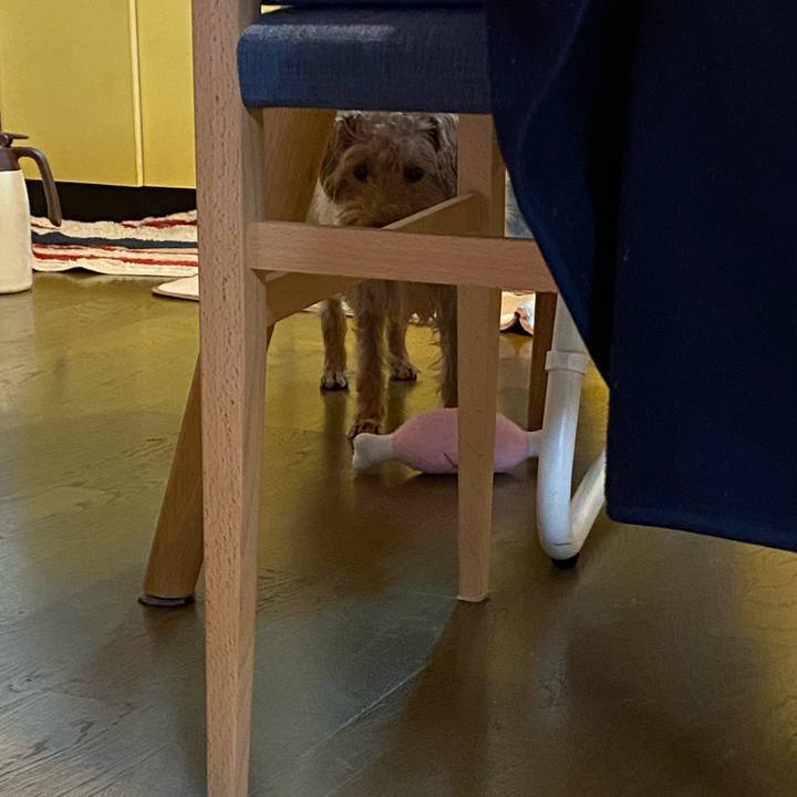 50e3d8a0 b376 4521 bcbc f677d71207c6 1639524462182