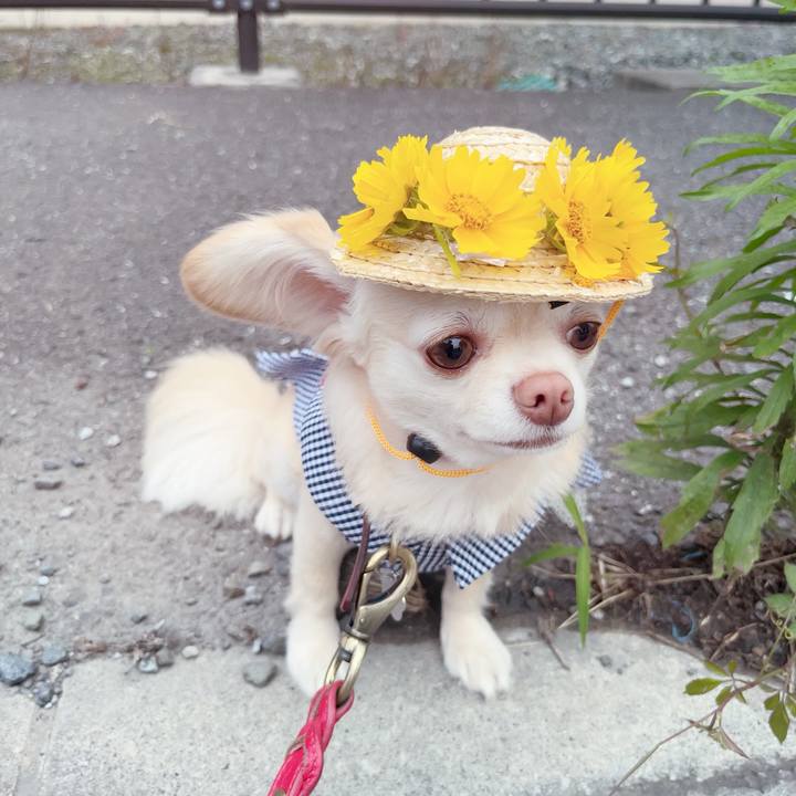 50e3e7e2 3a30 4fb2 81db 3af37e855cec 1686304999024