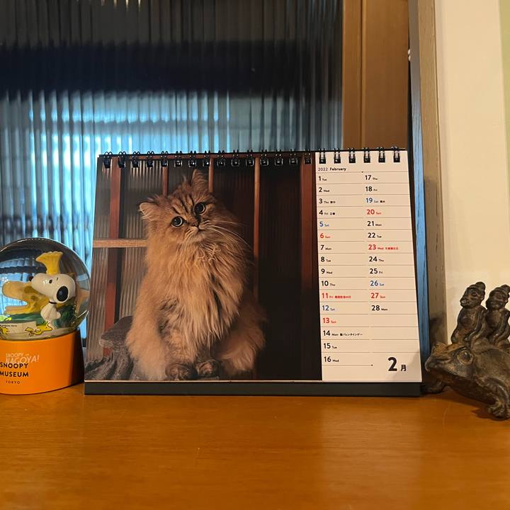 50e3e987 5bd6 4171 9edb 45a8feec5f47 1643843737375