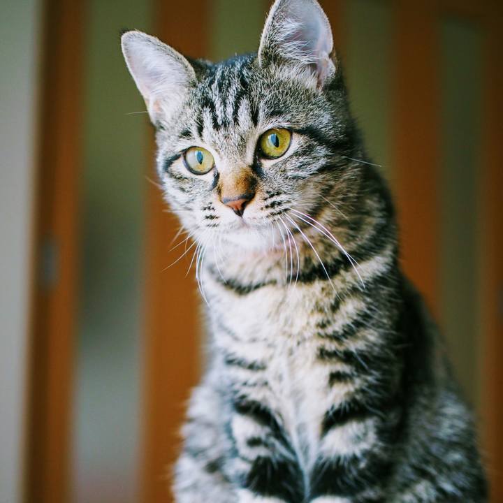 50e45687 b859 4a7a 8f4e ecc55d5ca251 1520222354941