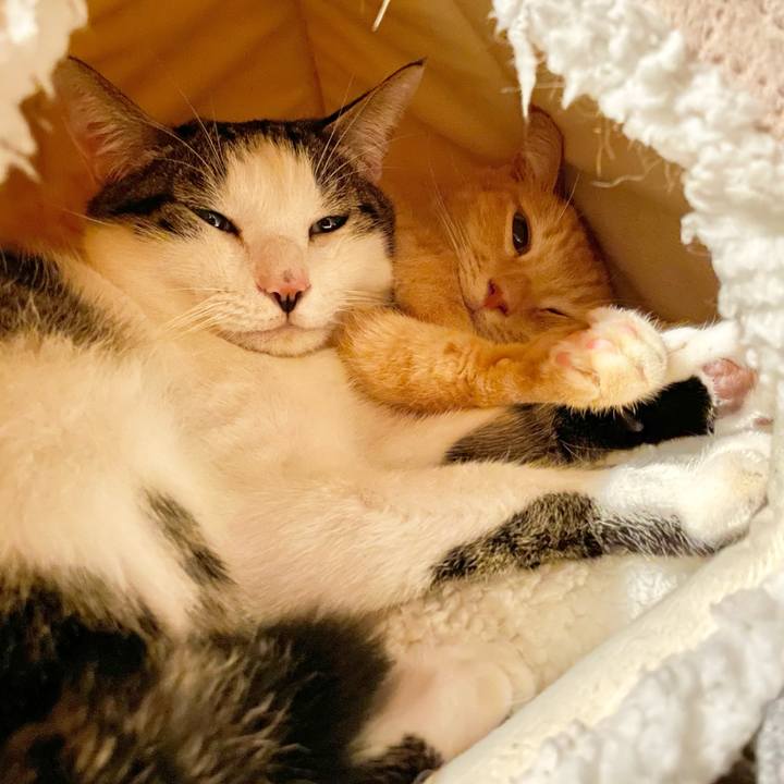 50e4a270 9f49 484a b33b 219c3928f3ee 1768081540906