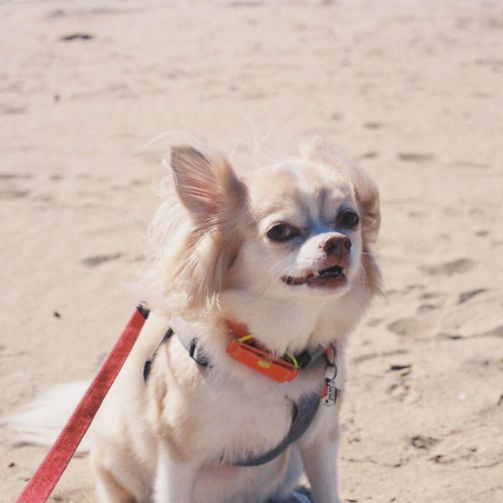 50e4c4f2 e544 4c24 b283 30d41420e7d1 1764128350943