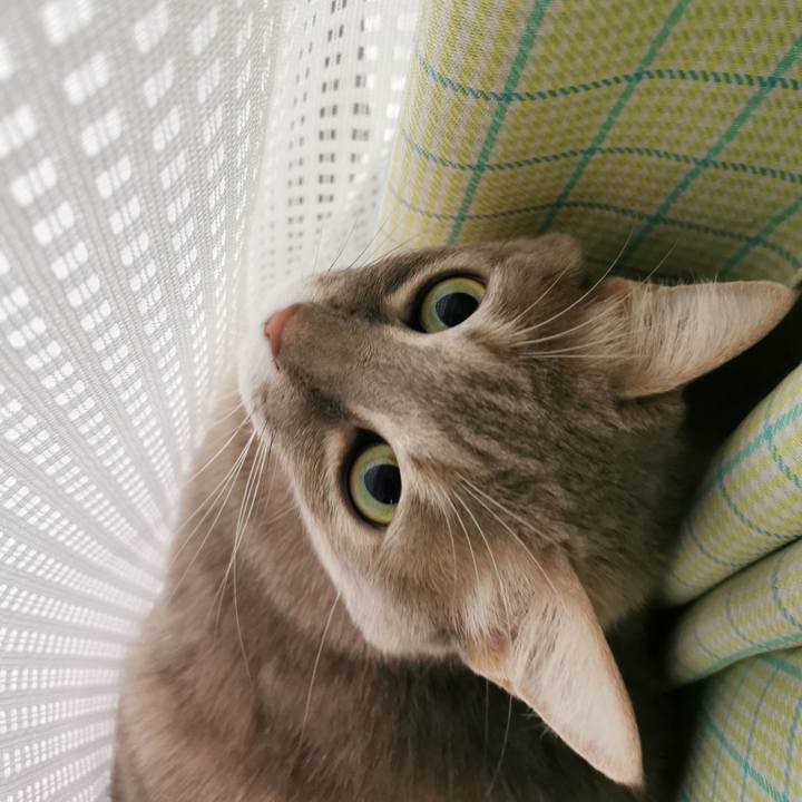 50e4f893 1d7c 43b6 a0e9 a66a6efd85cb 1644726928125