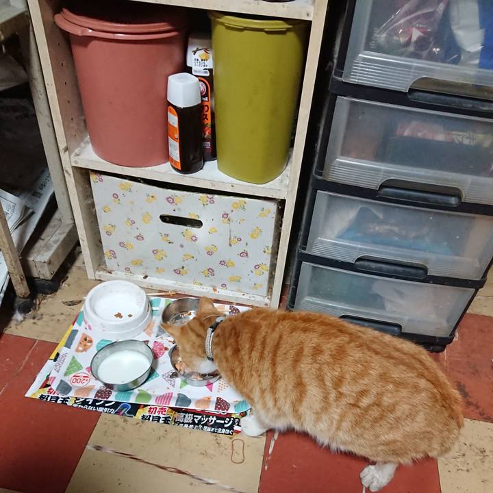 50e5271d 183f 483b b9b5 8ea30f7a8178 1588626761686