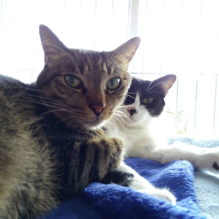 50e55bc6 6327 426c a1b2 19347778eb24 1510464167626