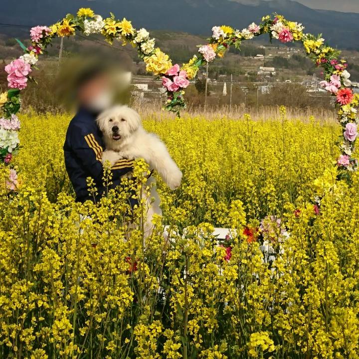 50e56eab 133a 4aab a53c 2054ddef72e3 1588200685120