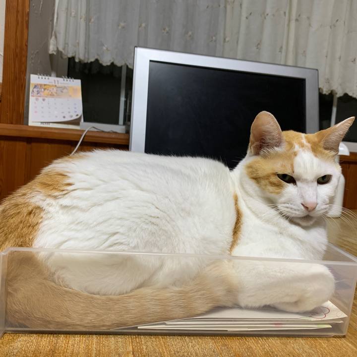 50e57ccf 0974 4294 b615 07b295c56083 1668779161425