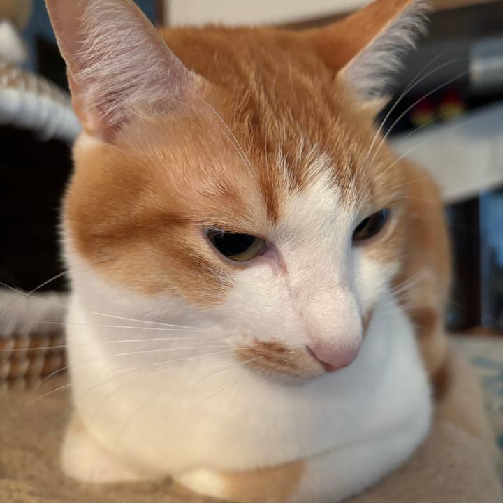 50e5badc 56e3 4a2d 82af 0a0f926f4ea3 1765074355235