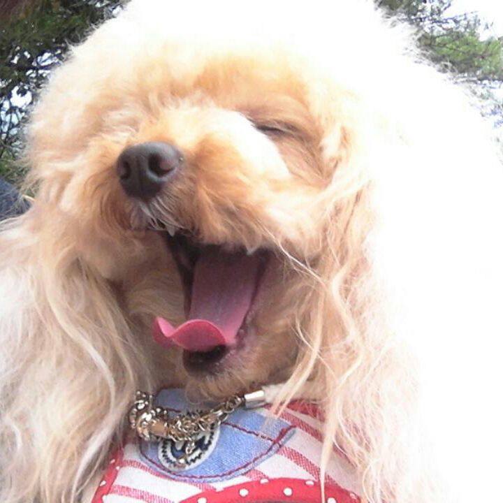 50e5d528 18e1 4f5e 9de3 f7e761b05988 1538125118518