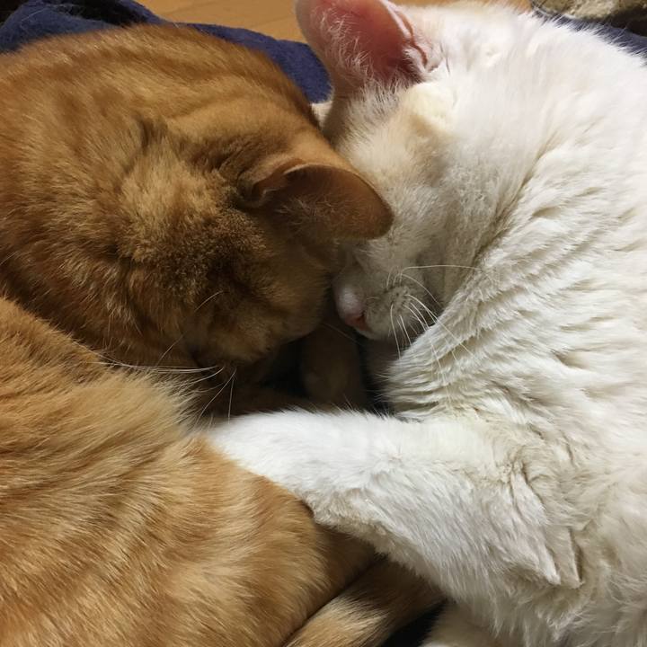 50e5e027 6013 4771 a2b2 b55f581ccc89 1518785113246