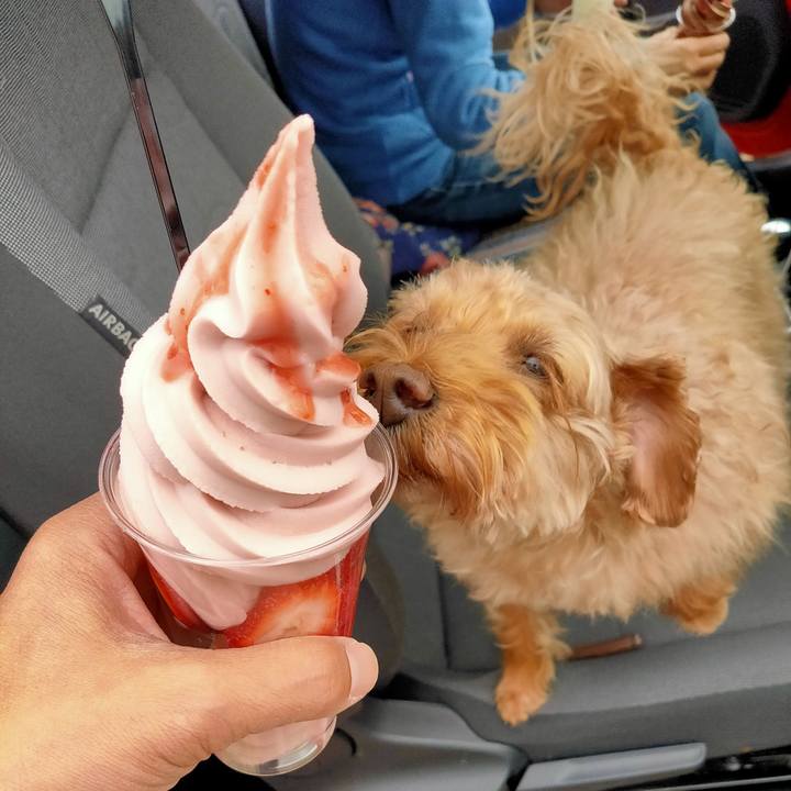 50e5e584 5ae1 4a8b bfbe 4452f2b9d067 1587956528609