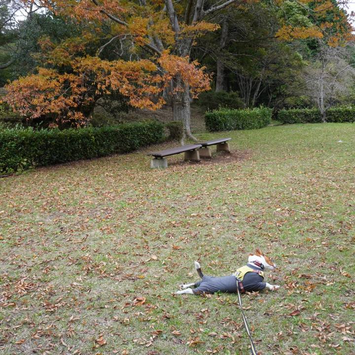 50e5f46d 4eed 45f1 88a0 9e923b55bf5a 1762077455018