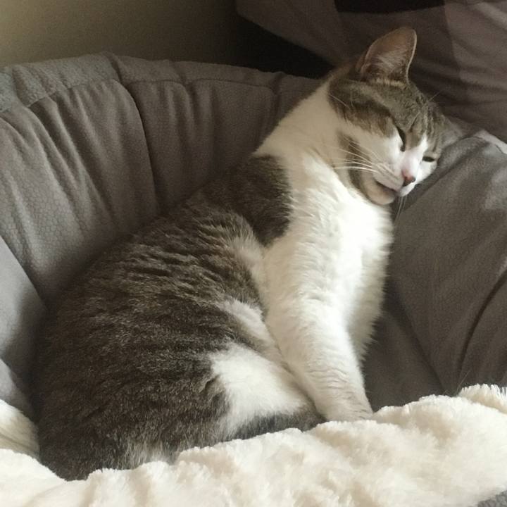 50e60d27 bf6c 40f3 84c7 f00a4fe333fb 1633481300661