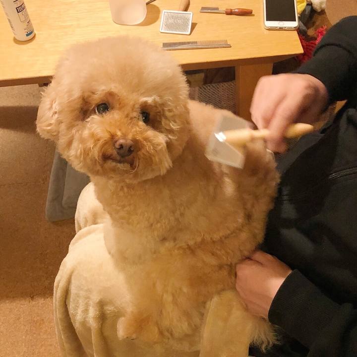 50e63a01 783c 49d6 a09d af8bf2b16562 1509797068034