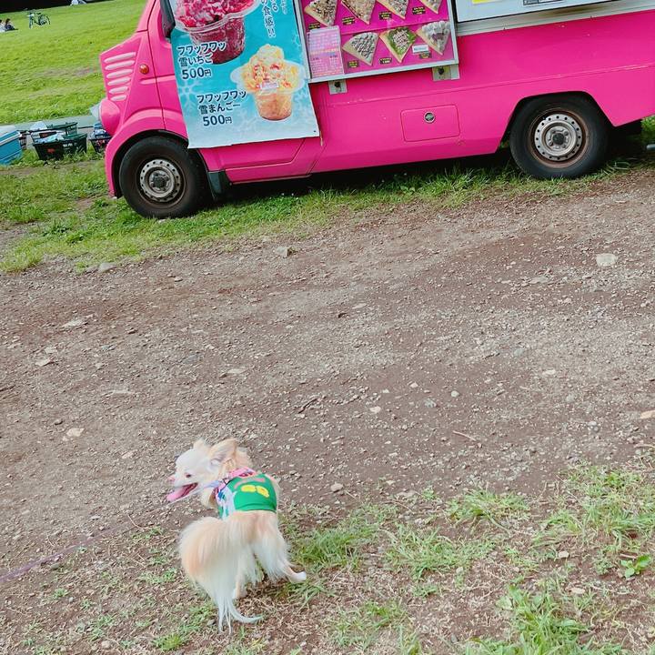 50e64548 848c 4450 b50e 5f2d8ac142d4 1653742036630