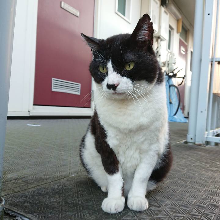 50e682ae 3afc 40db b22b cdeb4137f471 1633163189356