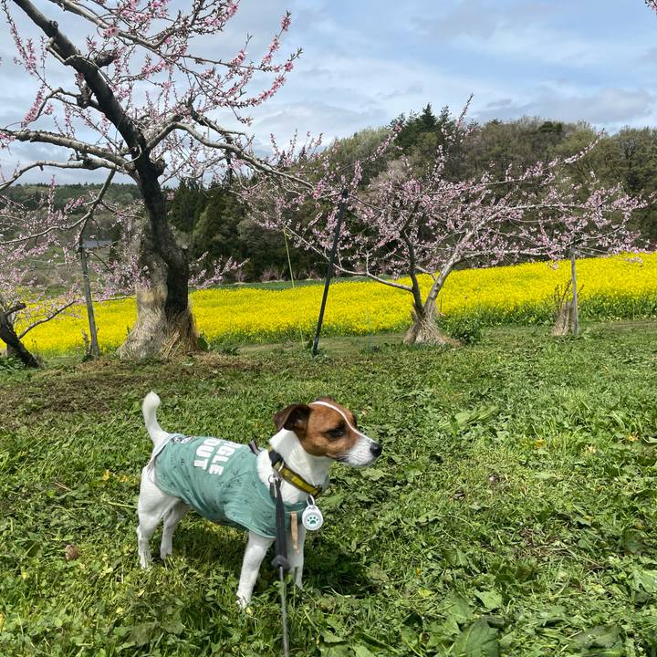 50e6d1f3 af35 4f26 8cc3 e6c86780a892 1651035593359