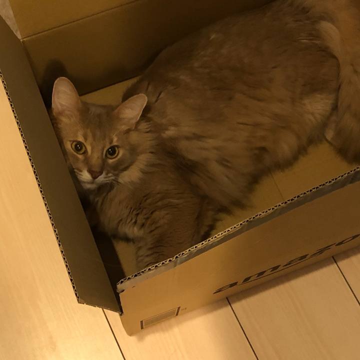 50e706e3 34e0 4f90 b048 b2c3ef014b6a 1679230539098