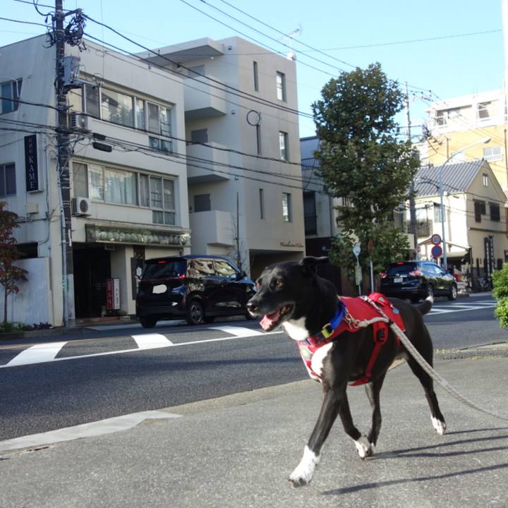 50e70717 4f02 425c 9023 05f507a8d6ea 1666745277471