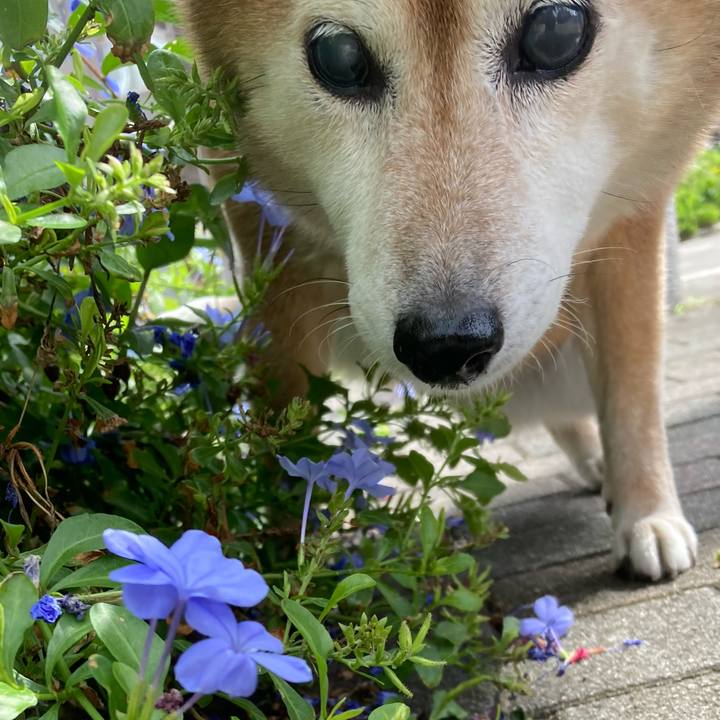 50e725cf dcd2 484b 8d3a 55a7169f0b08 1696216706807