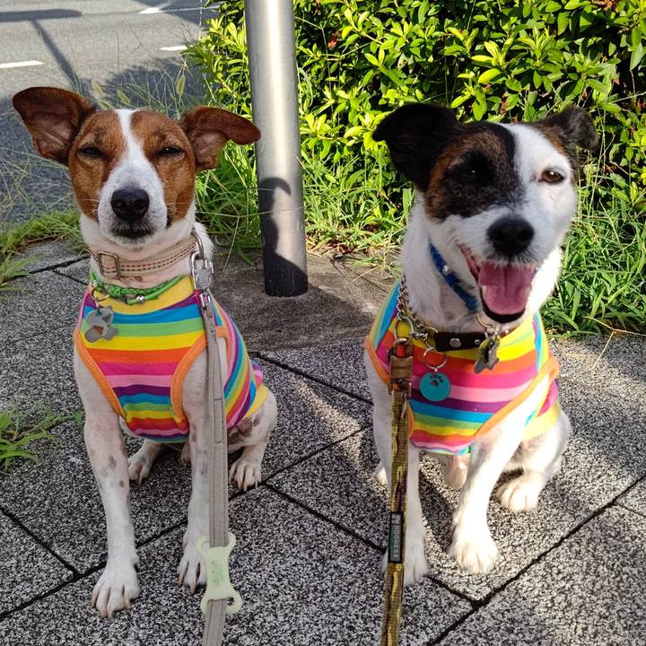 50e73a17 b1f1 402a 891f 932022450f69 1658869887868