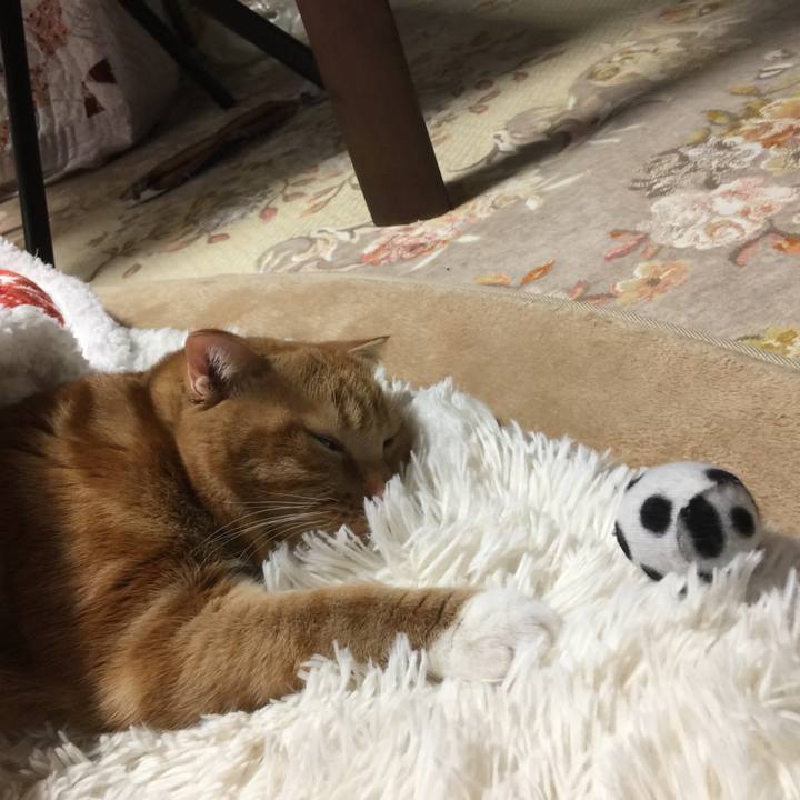 50e74d6a aea3 4cc5 8389 ee0f9f7215d4 1515052735045