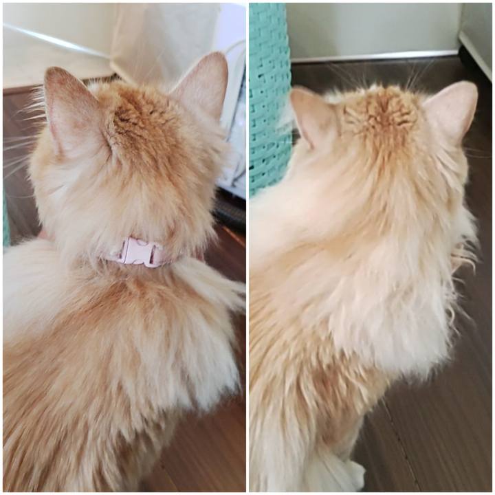 50e758e5 92f3 49ba ae92 7695b6e79aa3 1718259451105