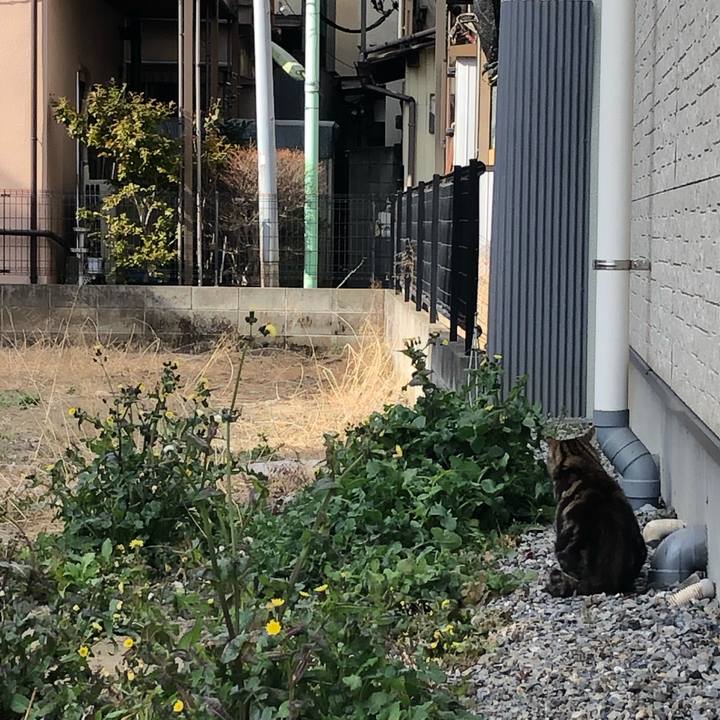 50e77bae 678b 423b 8408 708bf00e1891 1647723065317