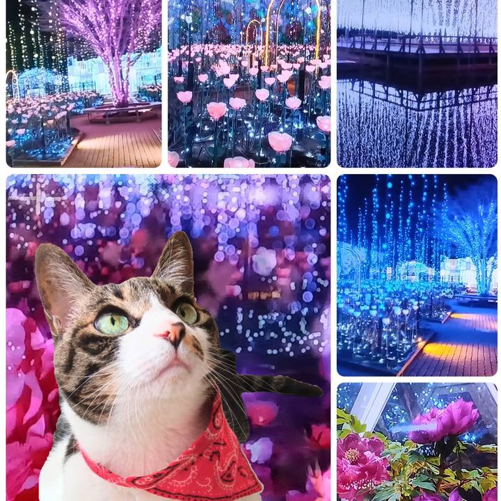 50e7811d 0c93 4043 95fd 85688ebb4b92 1770279981344